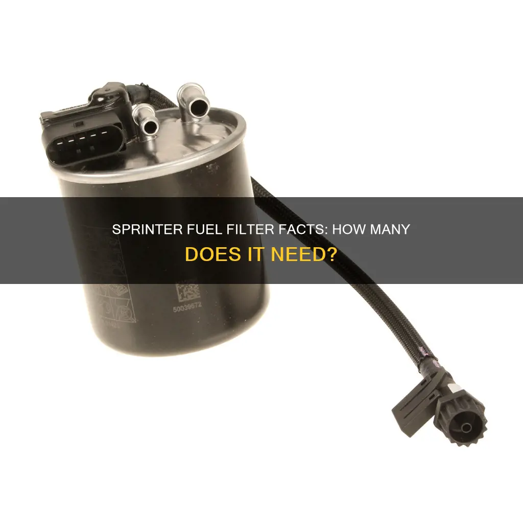how many fuel filter on 2008 sprinter