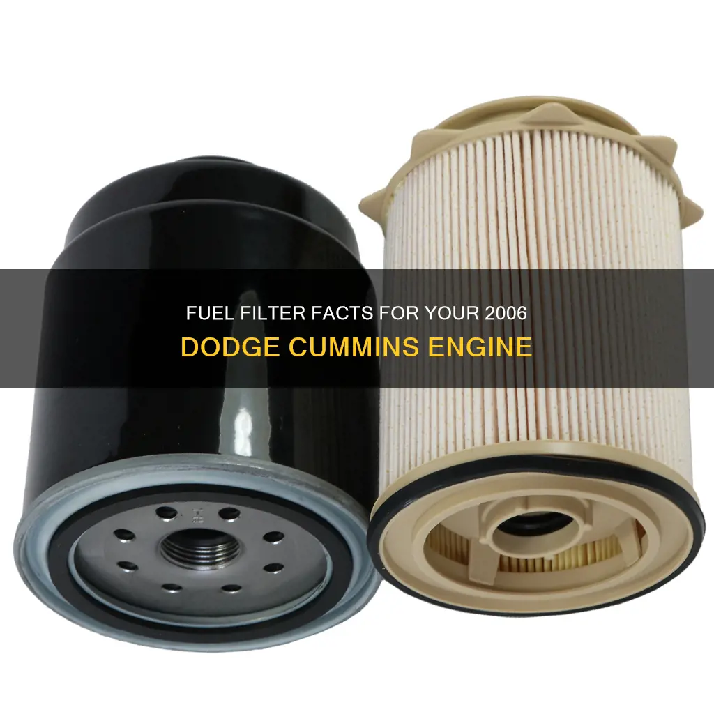how many fuel filter on a 2006 dodge cummins