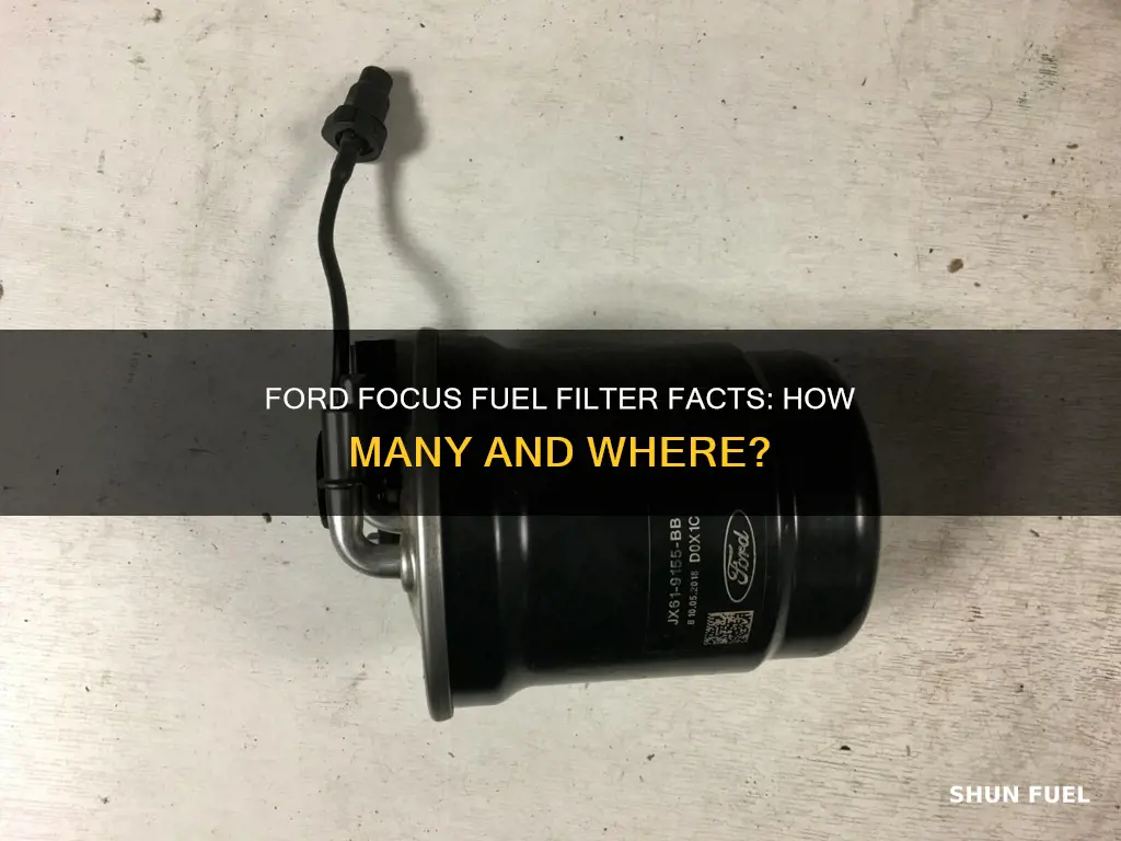 how many fuel filter on a 2007 ford focus