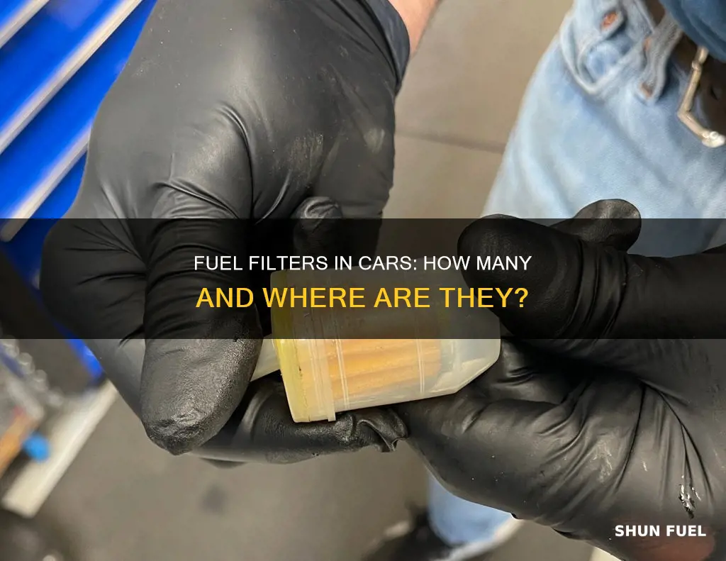 how many fuel filters does a car have