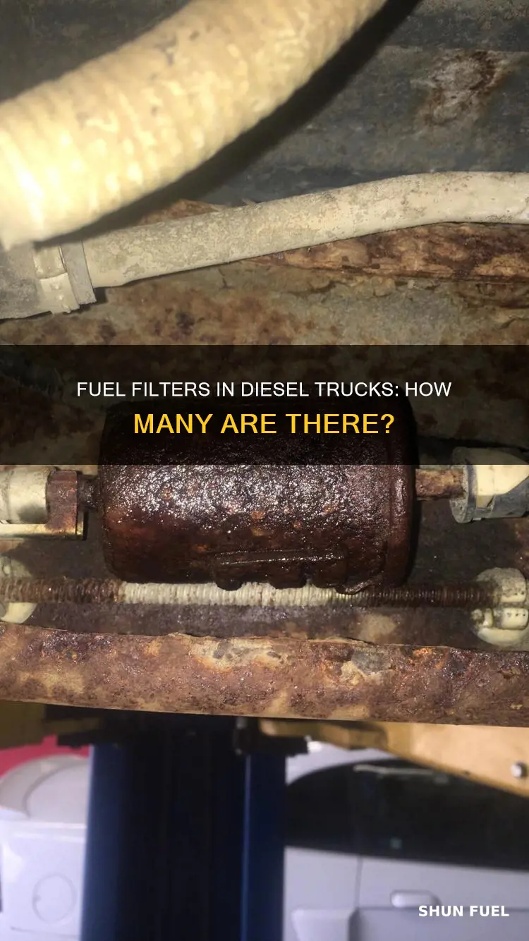 how many fuel filters on a diesel truck