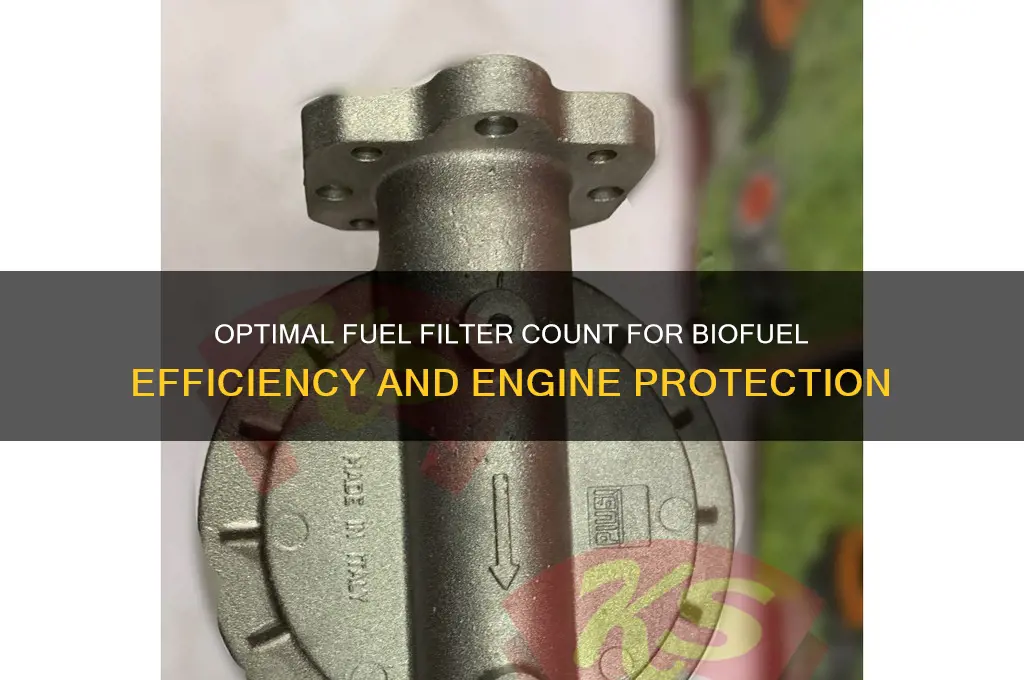 how many fuel filters to have when using biofuel