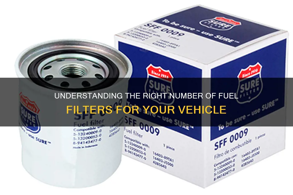 how many fuel filters