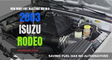 Fuel Injector Count for 2003 Isuzu Rodeo Explained