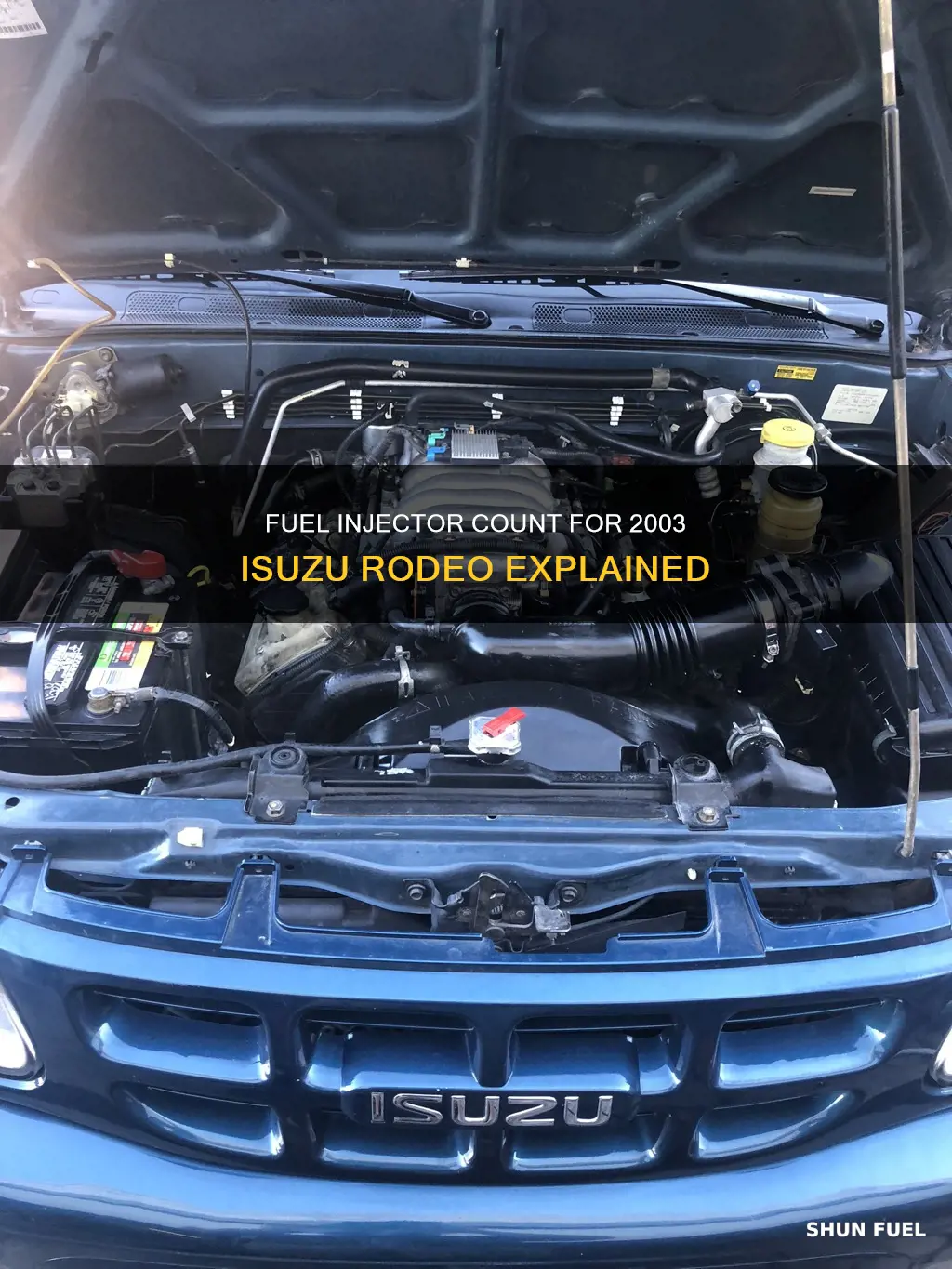 how many fuel injectors are in a 2003 isuzu rodeo