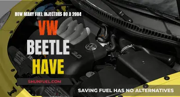 Fuel Injector Maintenance for 2004 VW Beetles