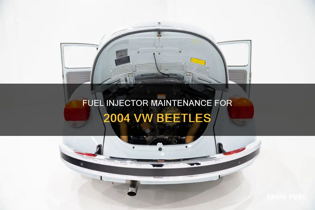 how many fuel injectors do a 2004 vw beetle have