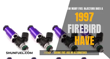 The Firebird's Fuel Injectors: How Many Does It Need?
