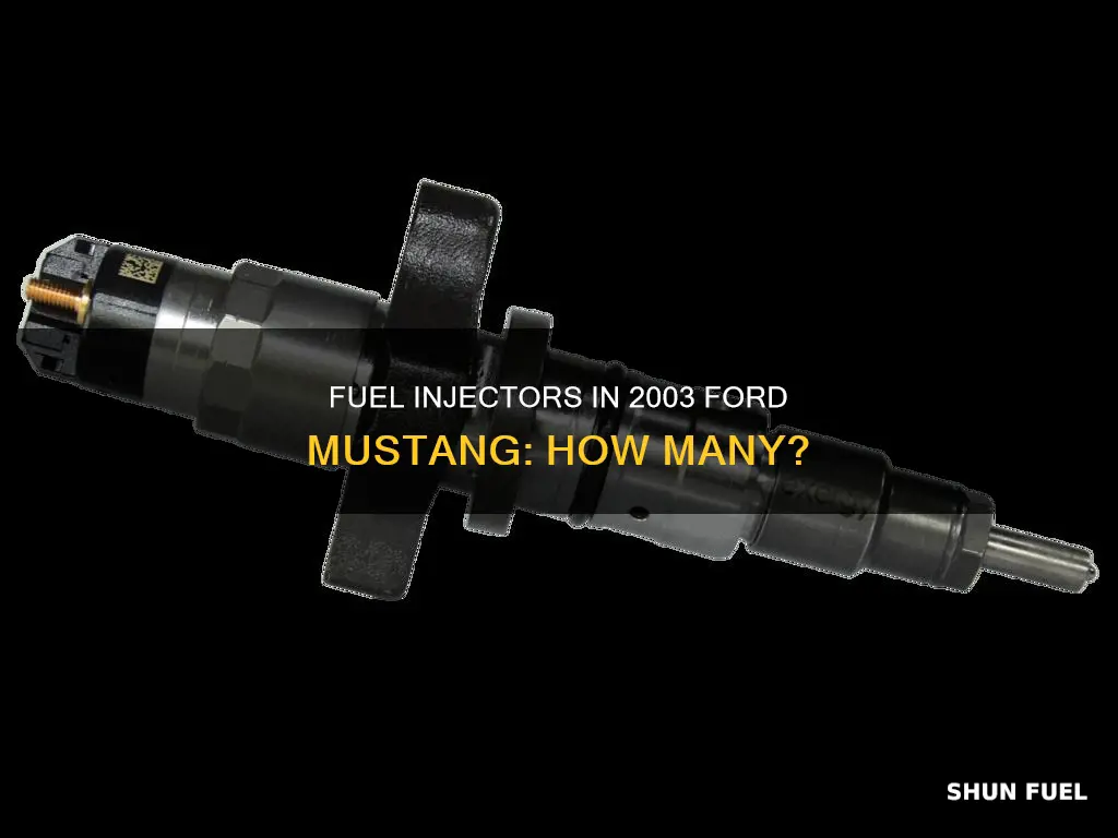 how many fuel injectors does a 2003 ford mustang have