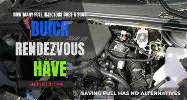 Fuel Injectors in 2005 Buick Rendezvous: How Many?