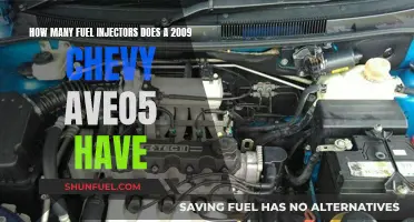 Fuel Injectors in 2009 Chevy Aveo5: How Many?