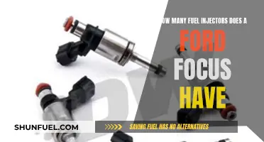 Ford Focus Fuel Injectors: How Many Are There?