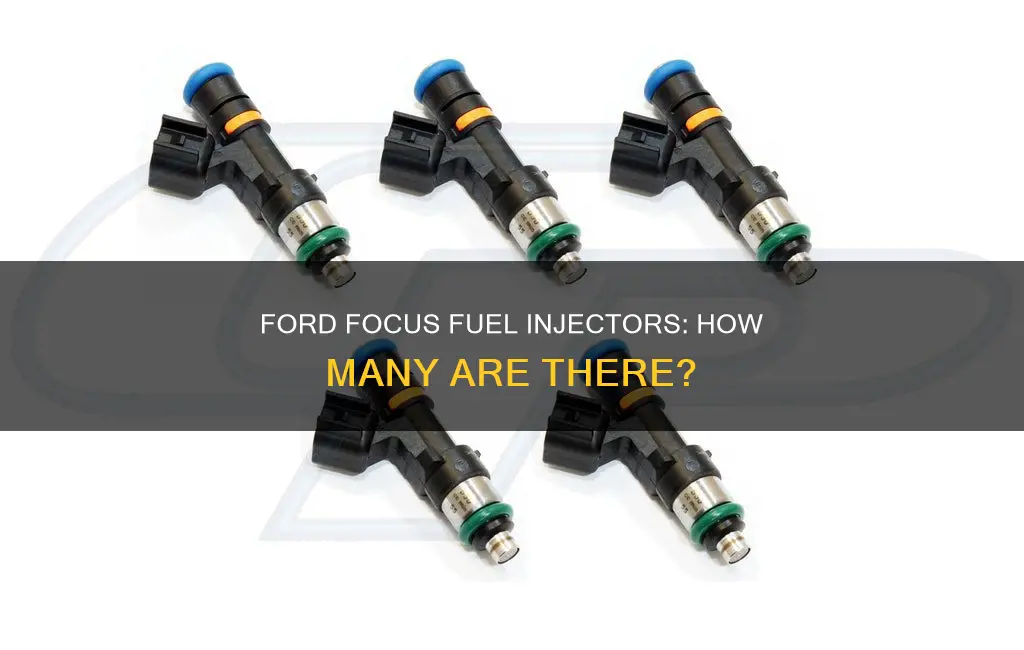 how many fuel injectors does a ford focus have