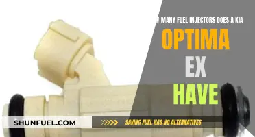 Kia Optima EX Fuel Injectors: How Many Are There?