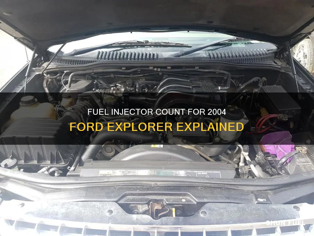 how many fuel injectors in 2004 ford explorer