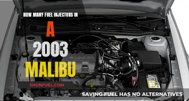 Malibu 2003: Fuel Injectors and Their Number