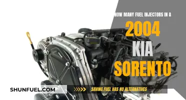 Fuel Injector Maintenance for 2004 Kia Sorento: How Many and How Often?
