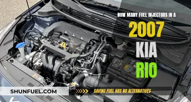 Kia Rio 2007: Fuel Injectors and Their Number