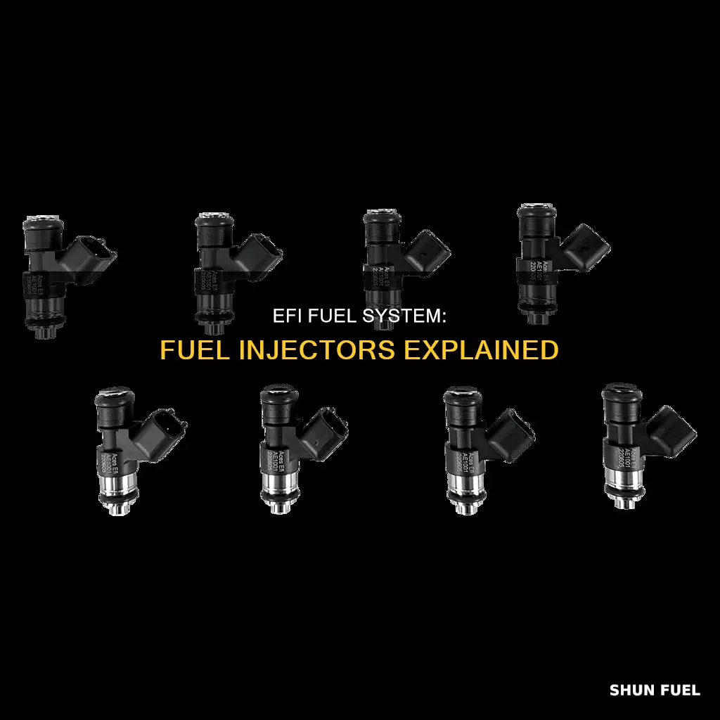 how many fuel injectors in a efi fuel system
