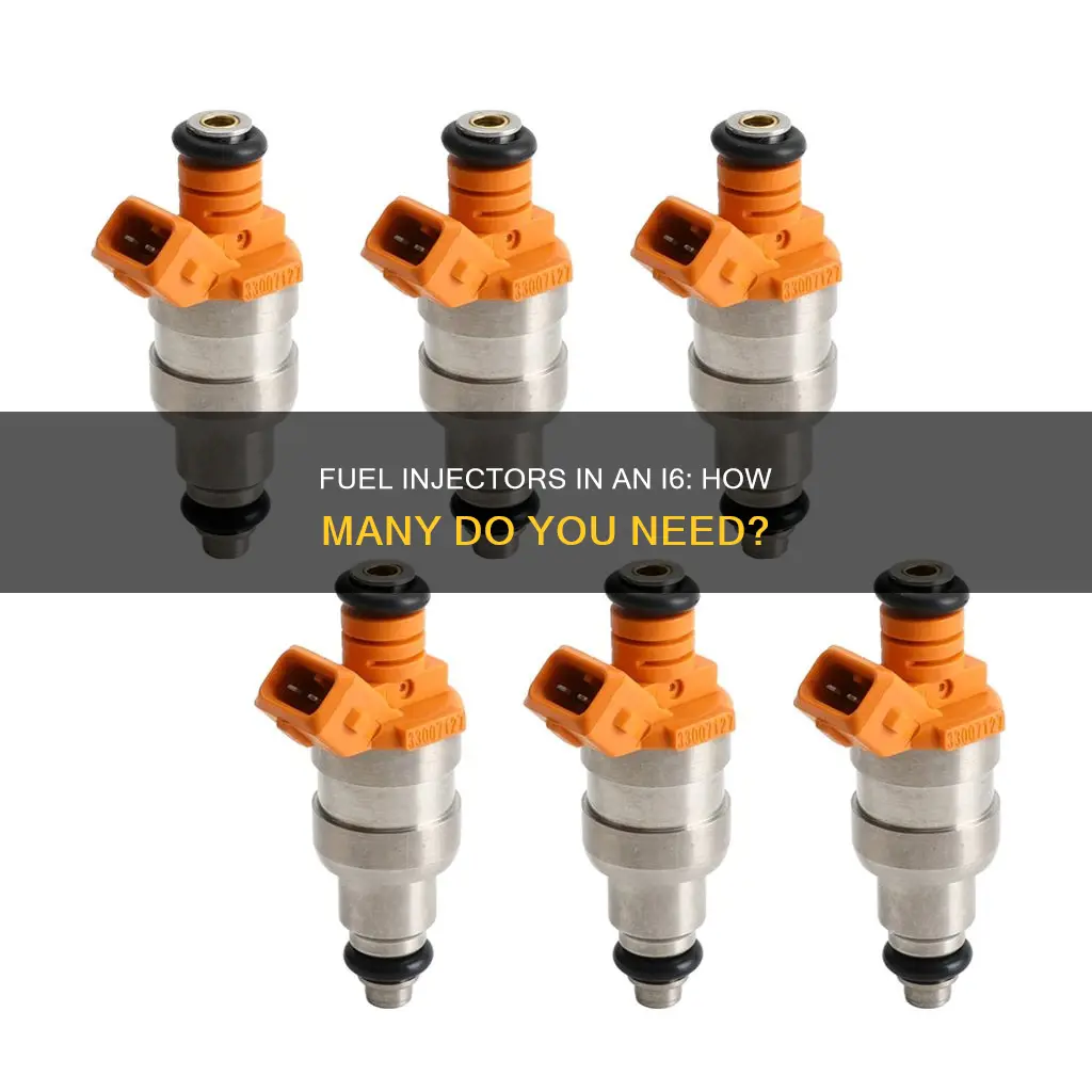 how many fuel injectors in an i6