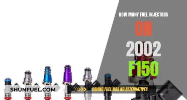 Fuel Injector Maintenance: 2002 F150 Edition