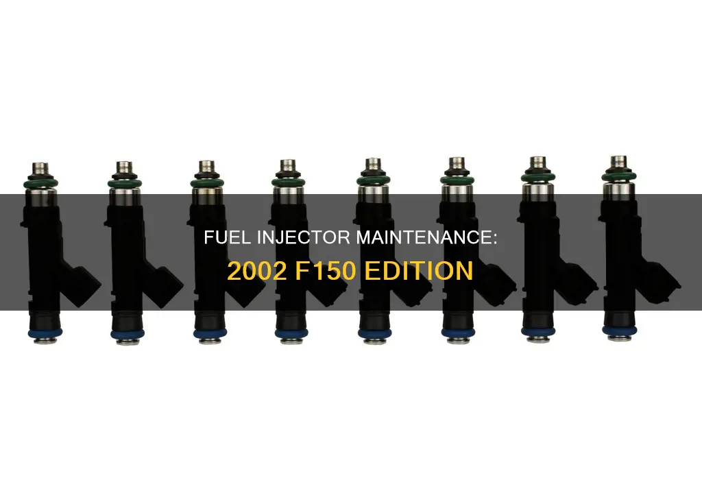 how many fuel injectors on 2002 f150