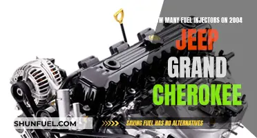 Fuel Injector Count for Jeep Grand Cherokee 2004 Models