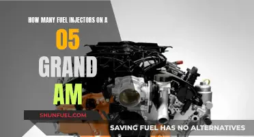 Fuel Injectors in 05 Grand Am: How Many?