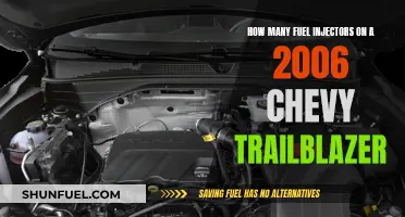 Fuel Injector Count for a 2006 Chevy Trailblazer