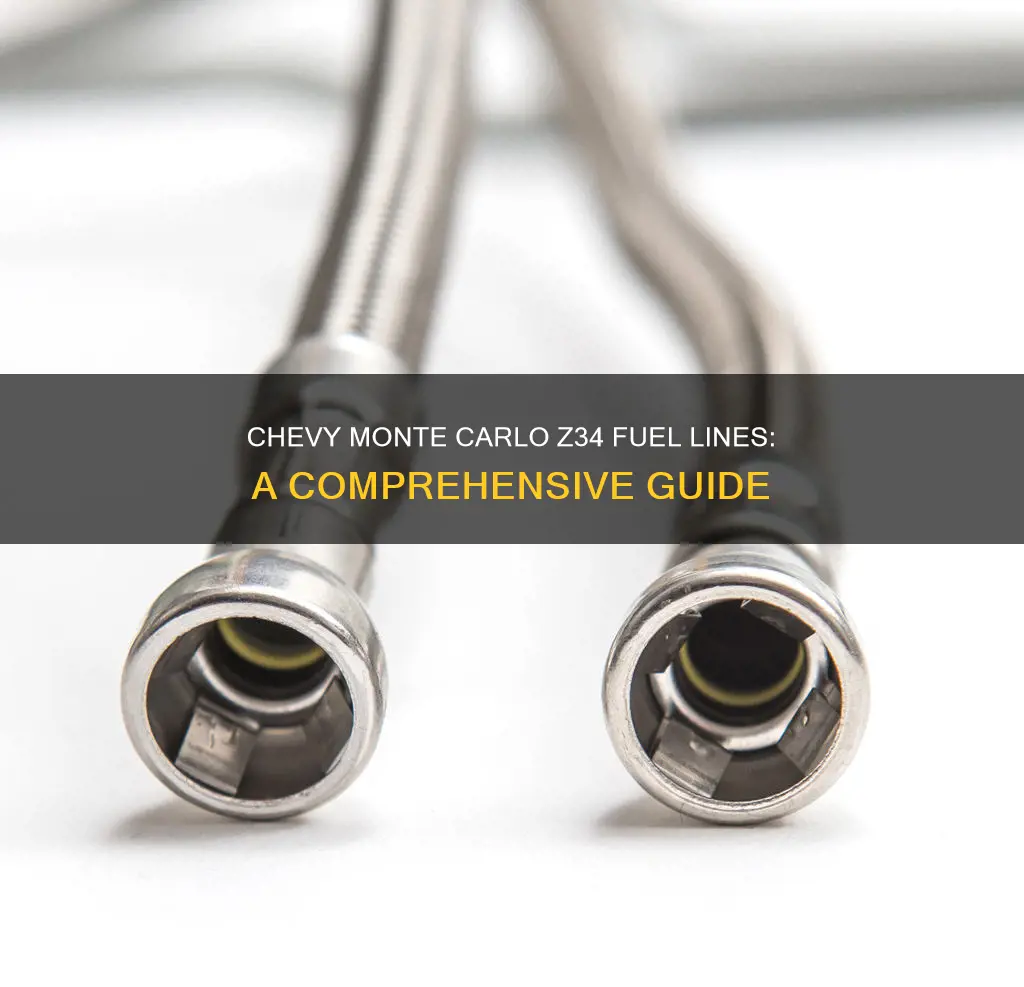 how many fuel lines does 1998 chevy monte carlo z34