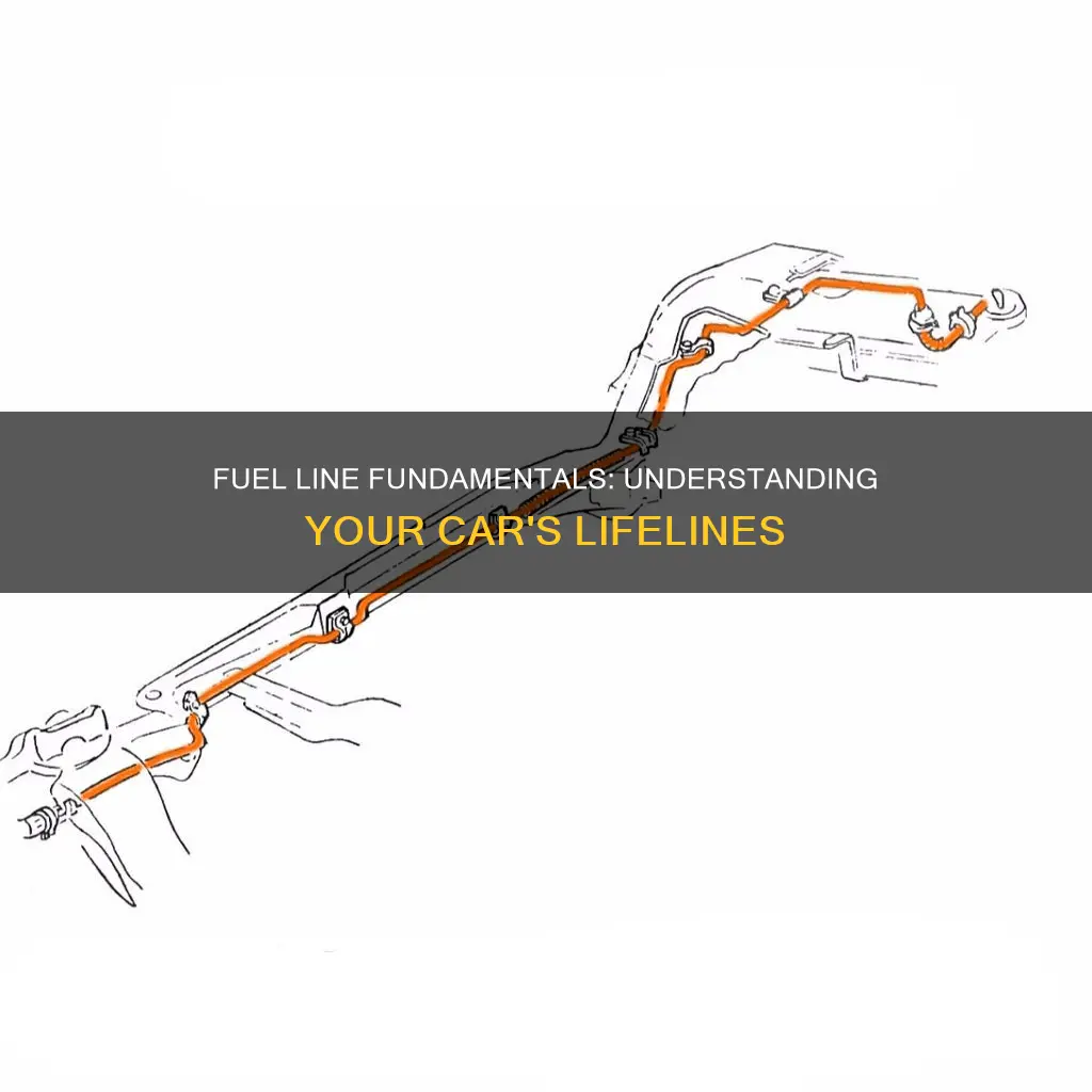 how many fuel lines does a car have