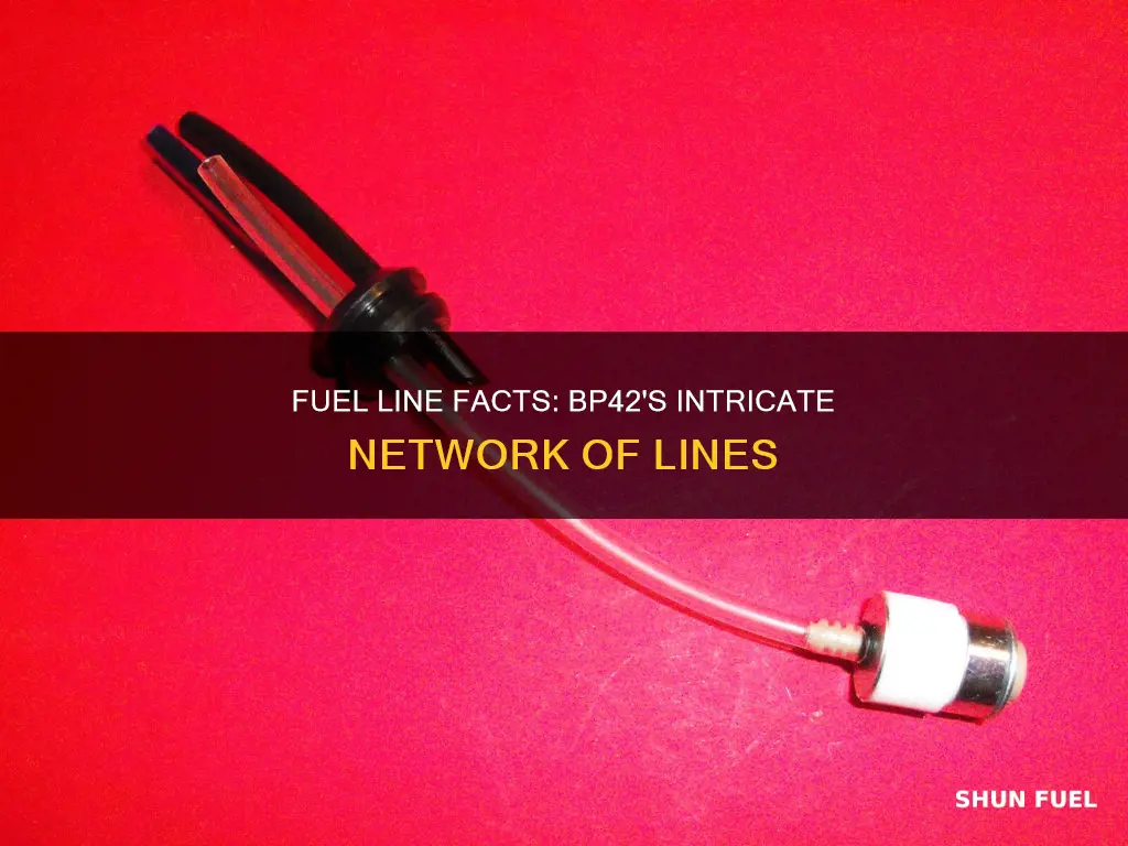 how many fuel lines on bp42