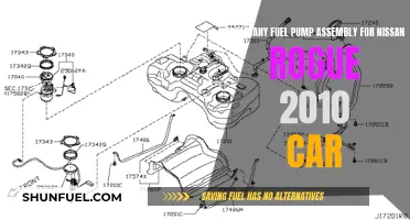 Nissan Rogue 2010 Fuel Pump Assembly: How Many?