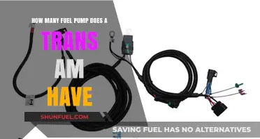 Understanding the Fuel Pump Setup in a Trans Am