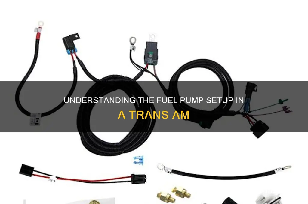 how many fuel pump does a trans am have