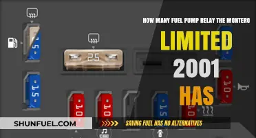 2001 Montero Limited Fuel Pump Relay Count: A Comprehensive Guide
