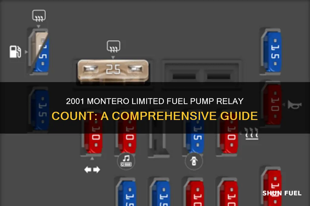 how many fuel pump relay the montero limited 2001 has