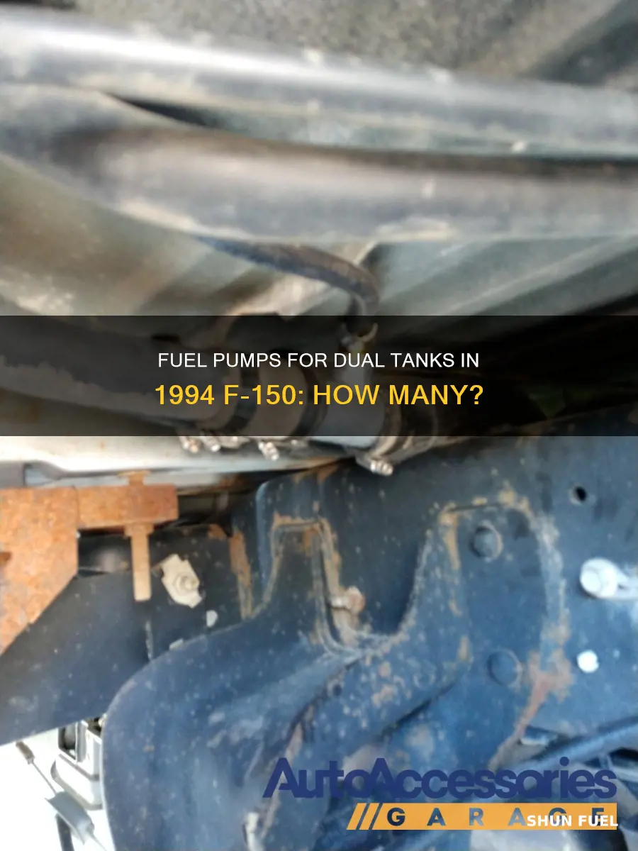 how many fuel pumps 1994 f 150 dual tanks