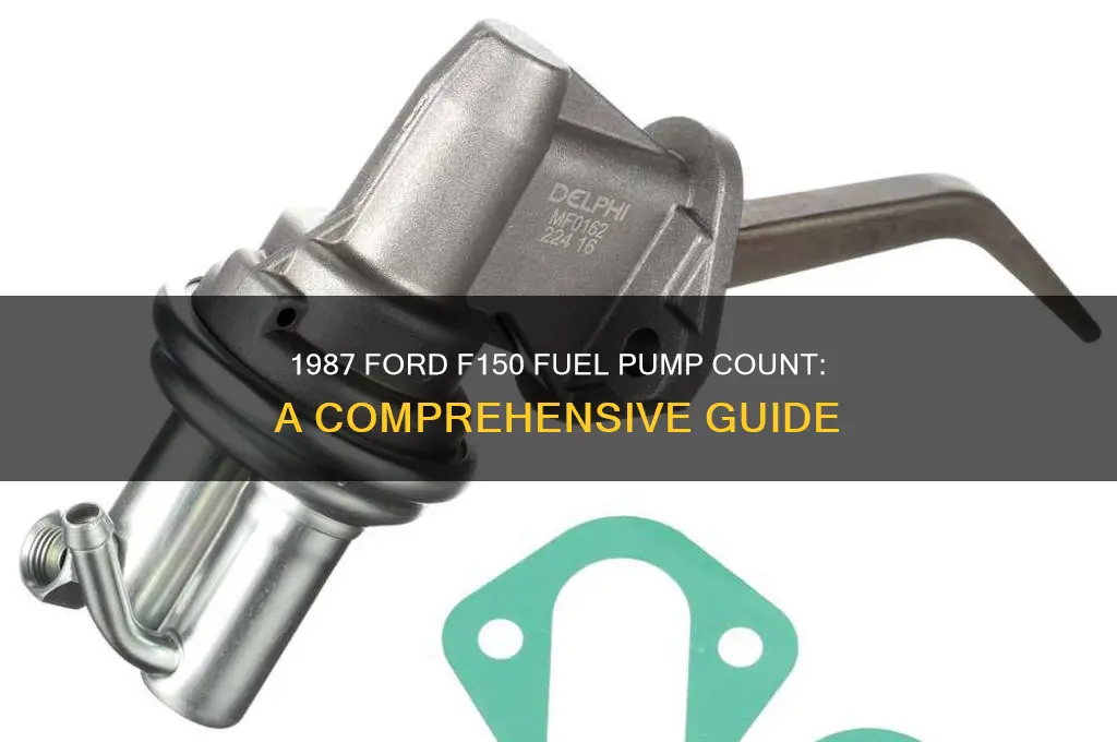 how many fuel pumps are in a 1987 ford f150