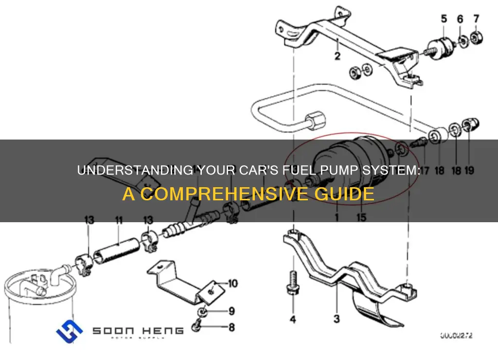 how many fuel pumps are in a car