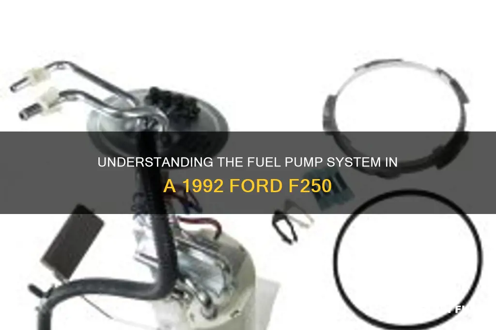how many fuel pumps are on a 92 ford f250