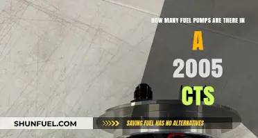 Understanding the Fuel Pump System in a 2005 Cadillac CTS