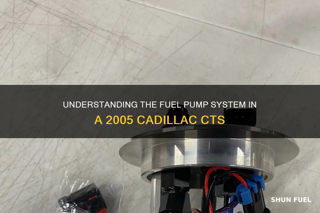how many fuel pumps are there in a 2005 cts
