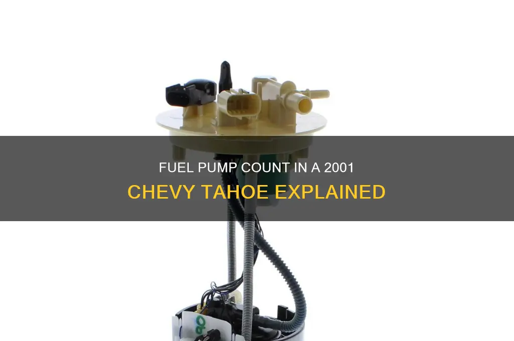 how many fuel pumps do 2001 chevy tahoe has