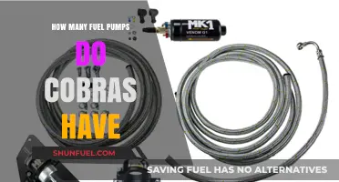 Exploring the Fuel Pump Setup in Cobras: A Comprehensive Guide
