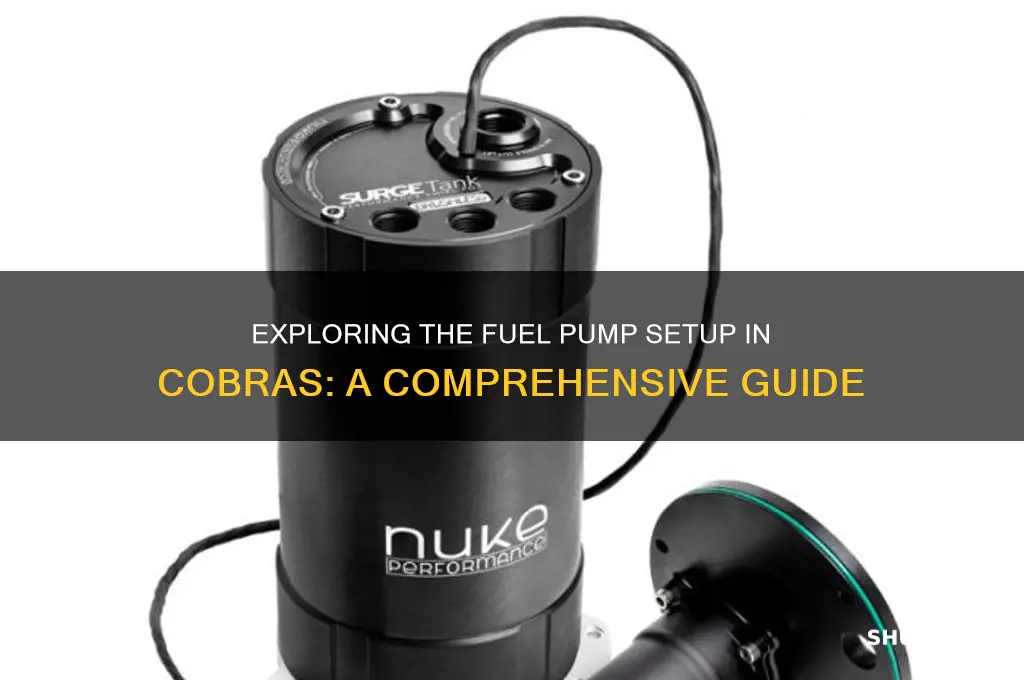 how many fuel pumps do cobras have