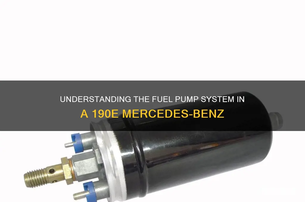 how many fuel pumps does 190e have