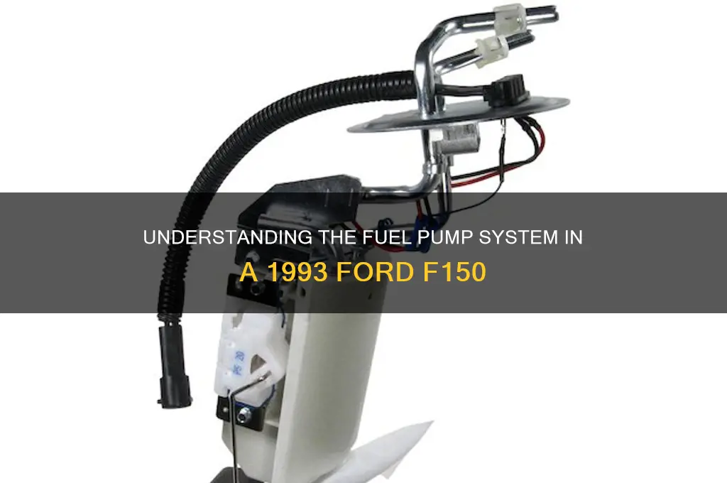 how many fuel pumps does 93 f150 have