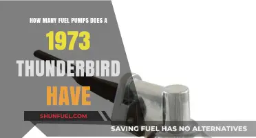 1973 Thunderbird Fuel Pump Setup: How Many Pumps Does It Have?