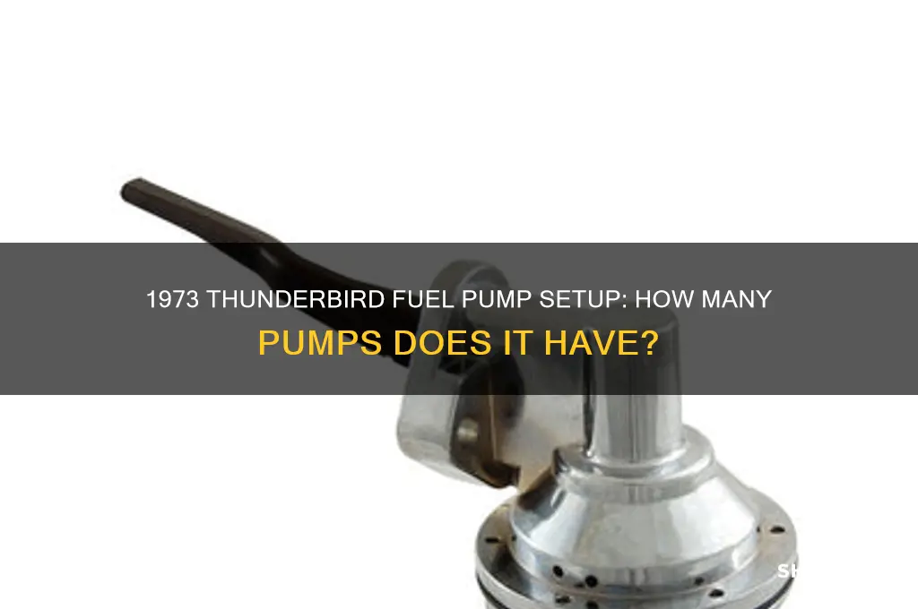 how many fuel pumps does a 1973 thunderbird have